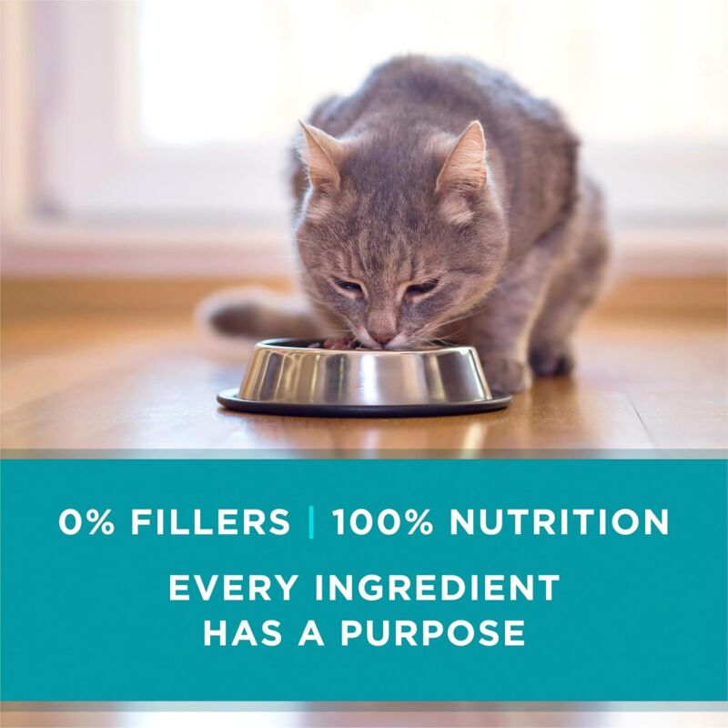 Purina ONE High Protein, Grain Free Pate Wet Cat Food Variety Pack, Grain Free Formula - (Pack of 24) 3 oz. Cans : Pet Supplies