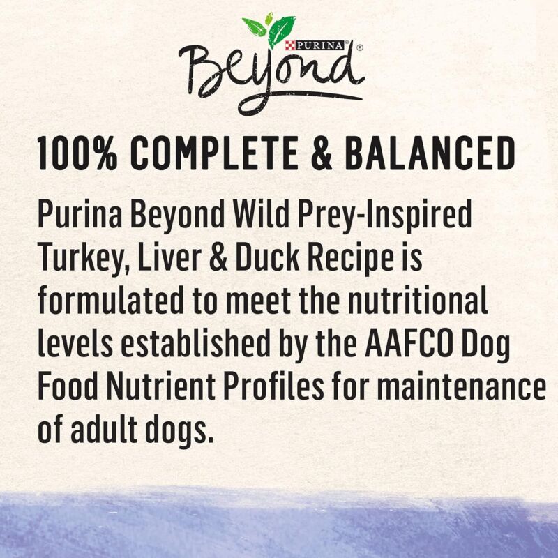 Purina Beyond High Protein, Grain Free, Natural Pate Wet Dog Food, WILD Turkey, Liver & Duck Recipe - (Pack of 12) 13 oz. Cans: Pet Supplies: Amazon.com