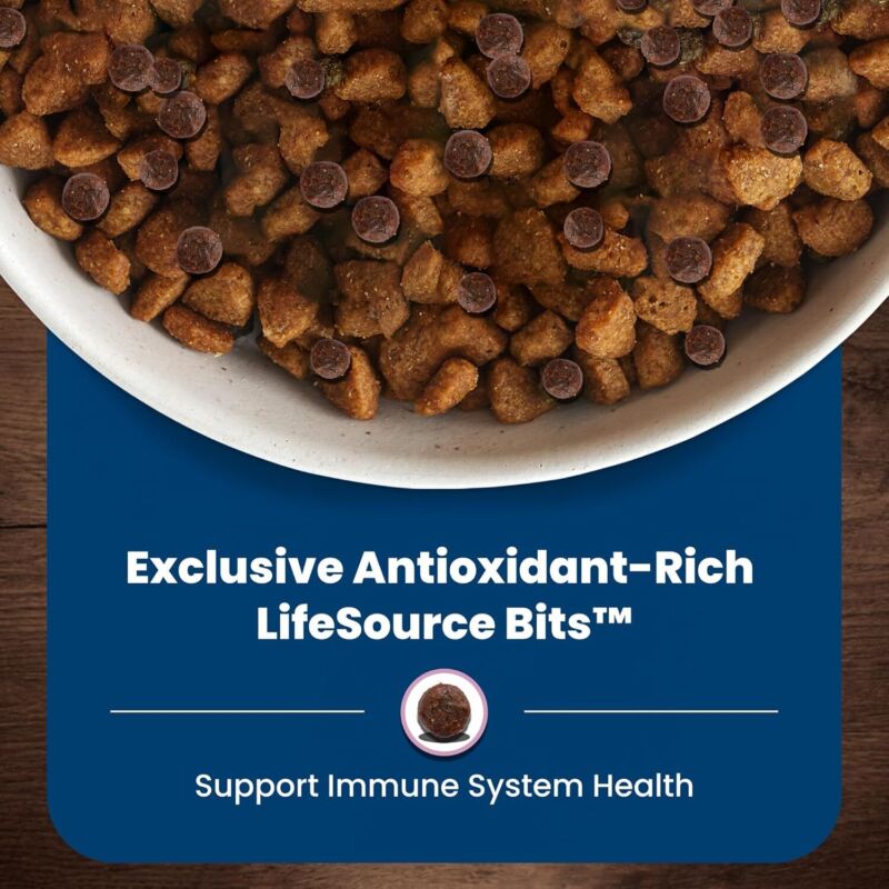 Blue Buffalo Life Protection Formula Small Breed Senior Dry Dog Food, Supports Joint Health and Immunity, Made with Natural Ingredients, Chicken & Brown Rice Recipe, 15-lb. Bag : Pet Supplies