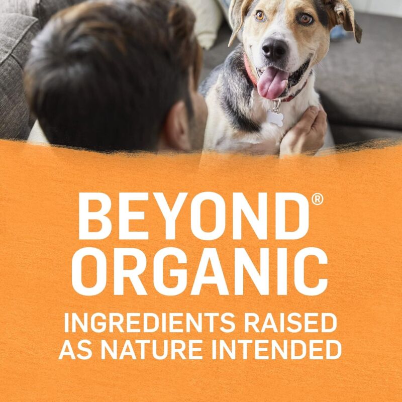Purina Beyond Organic Wet Dog Food, Organic Chicken & Carrot Adult Recipe Ground Entrée with Broth - (Pack of 12) 13 oz. Cans: Pet Supplies: Amazon.com