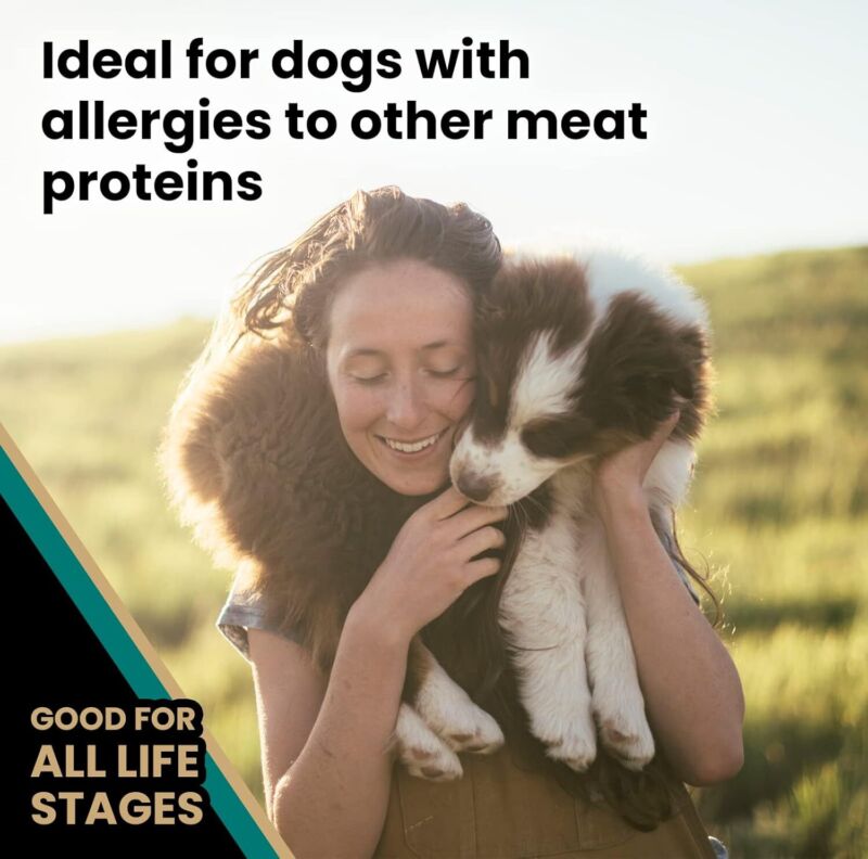 VICTOR Super Premium Dog Food – Select Ocean Fish Formula with Salmon – Omega-3 and Omega-6 Enriched Gluten-Free Dry Kibble for All Normally Active Dogs of All Life Stages, 15lbs : Pet Supplies