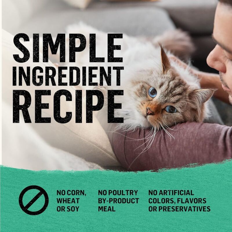 Purina Beyond Natural Grain Free Dry Cat Food Whitefish and Egg Recipe With Added Vitamins, Minerals and Nutrients - 11 lb. Bag : Pet Supplies