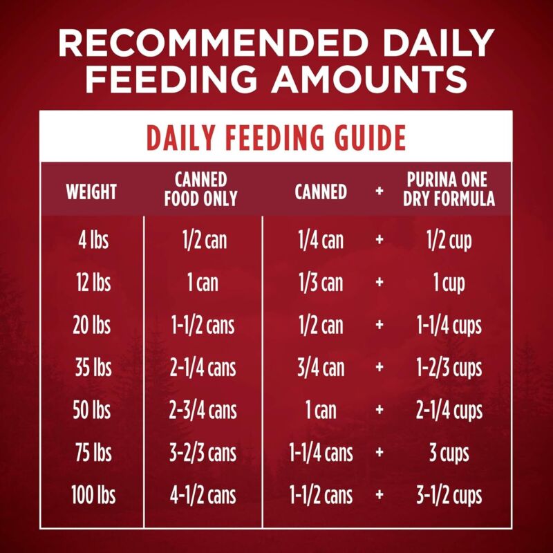 Purina ONE High Protein Wet Dog Food True Instinct Tender Cuts in Dog Food Gravy With Real Turkey and Venison - (Pack of 12) 13 oz. Cans: Pet Supplies: Amazon.com