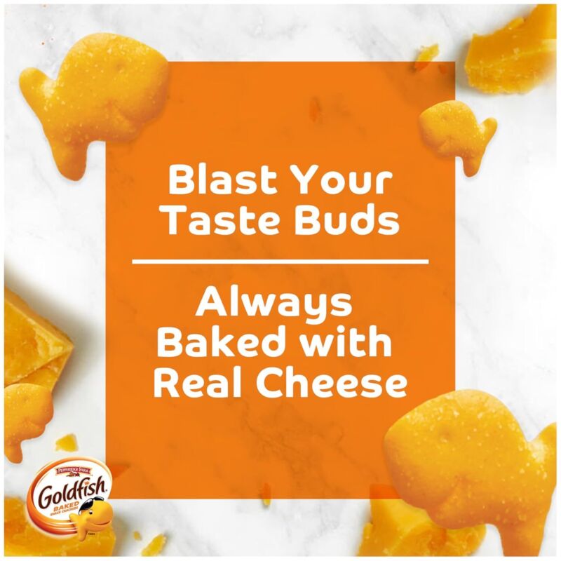 Goldfish Flavor Blasted Xtra Cheddar Cheese Crackers, 27.3 oz Carton : Goldfish