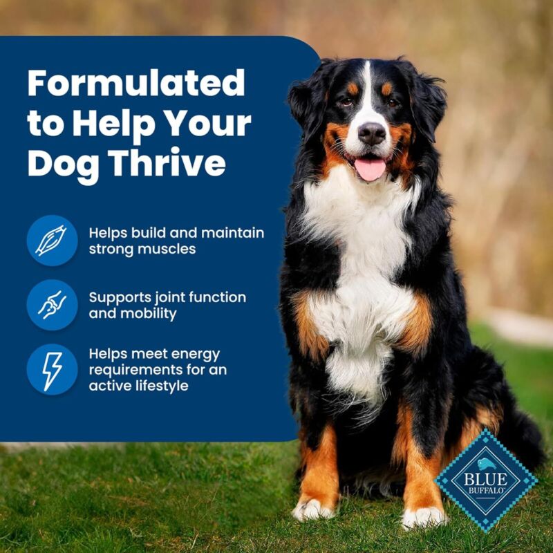 Blue Buffalo Life Protection Formula Adult Dry Dog Food, Helps Build and Maintain Strong Muscles, Made with Natural Ingredients, Chicken & Brown Rice Recipe, 30-lb. Bag : Pet Supplies