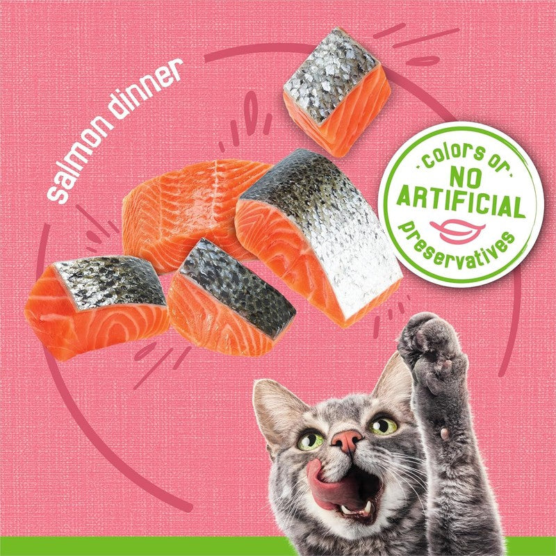 Purina Friskies Wet Cat Food Pate, Pate Salmon Dinner - (Pack of 24) 5.5 oz. Cans : Canned Wet Pet Food : Pet Supplies