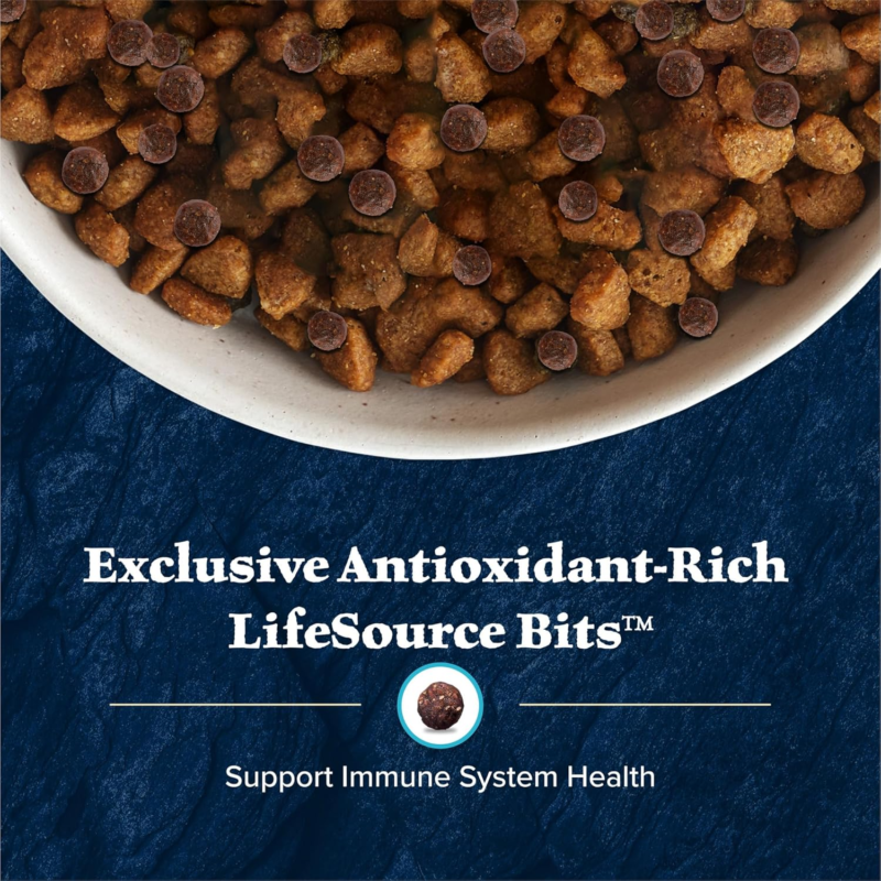 Blue Buffalo Wilderness Natural High-Protein Healthy Weight Dry Food for Adult Dogs, Chicken Recipe, 28-lb. Bag : Sports & Outdoors