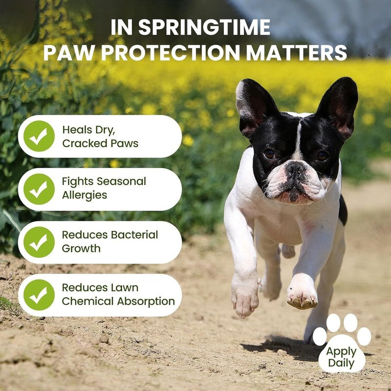 Pawsono Lick-Safe Dog Paw & Nose Balm with Coconut Oil | All-Natural Paw Cream & Wax for Dry, Cracked Pads & Snouts| Paw Moisturizer & Soother, Nose Butter for Bulldogs| Horse Hoof Care (60 g /2.1 oz) : Pet Supplies