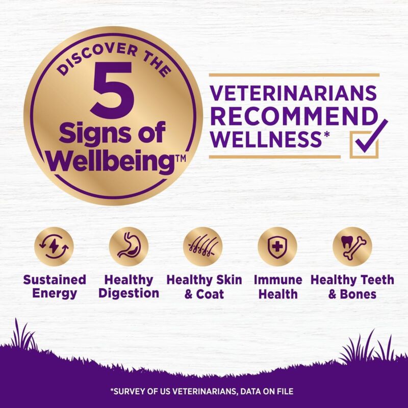 Wellness Complete Health Dry Dog Food, Wholesome Grains, Natural, Whitefish & Sweet Potato, (5-Pound Bag) : Pet Supplies