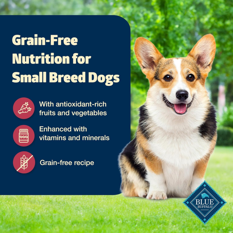 Blue Buffalo Freedom Grain-Free Small Breed Wet Dog Food, Supports High Energy Needs, Made in the USA With Natural Ingredients, Chicken, 5.5-oz Cans ( 24 Count): Wet Pet Food: Pet Supplies: Amazon.com