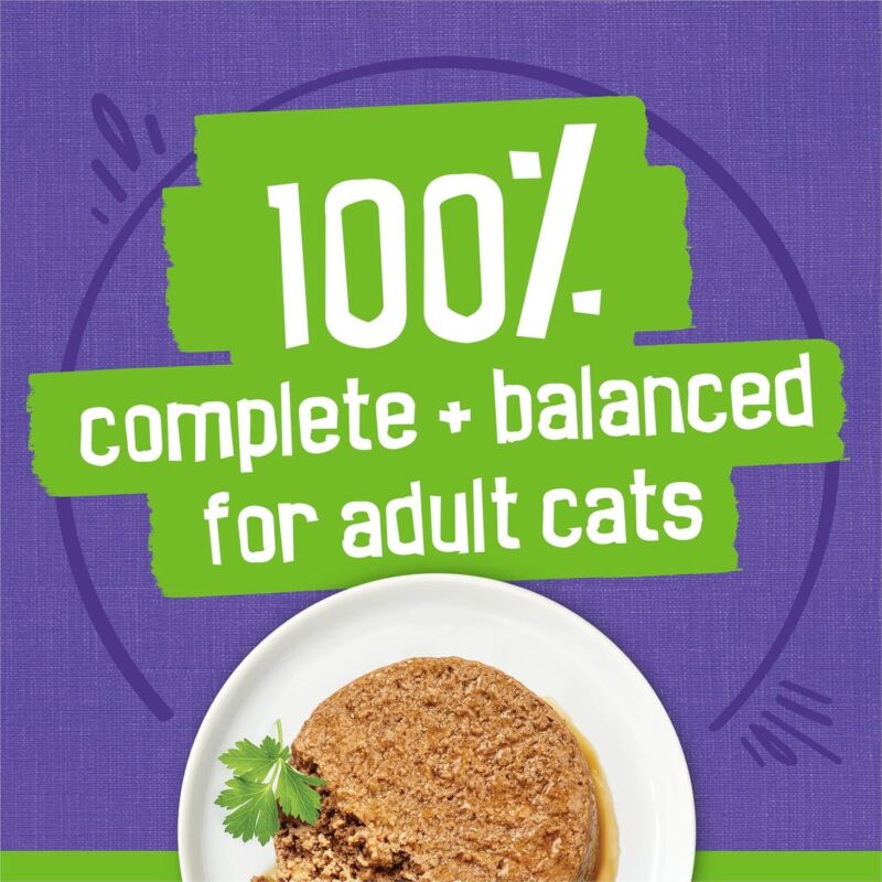 Purina Friskies Pate Wet Cat Food Variety Pack Seafood and Chicken Pate Favorites 40ct VP - (Pack of 40) 5.5 oz. Cans : Pet Supplies
