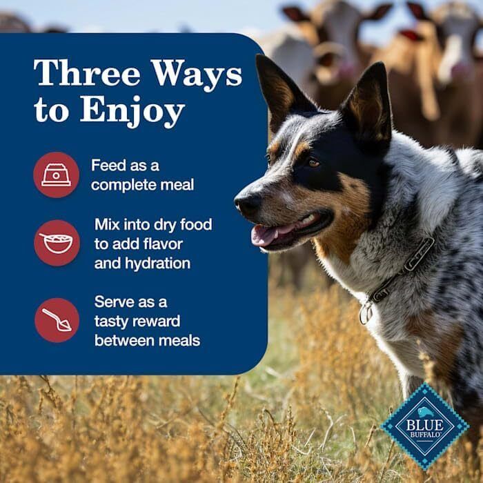 Blue Buffalo Homestyle Recipe Adult Wet Dog Food, Made with Natural Ingredients, Chicken and Beef Dinner Variety Pack, 12.5-oz Cans (6 Count, 3 of each): Pet Supplies: Amazon.com