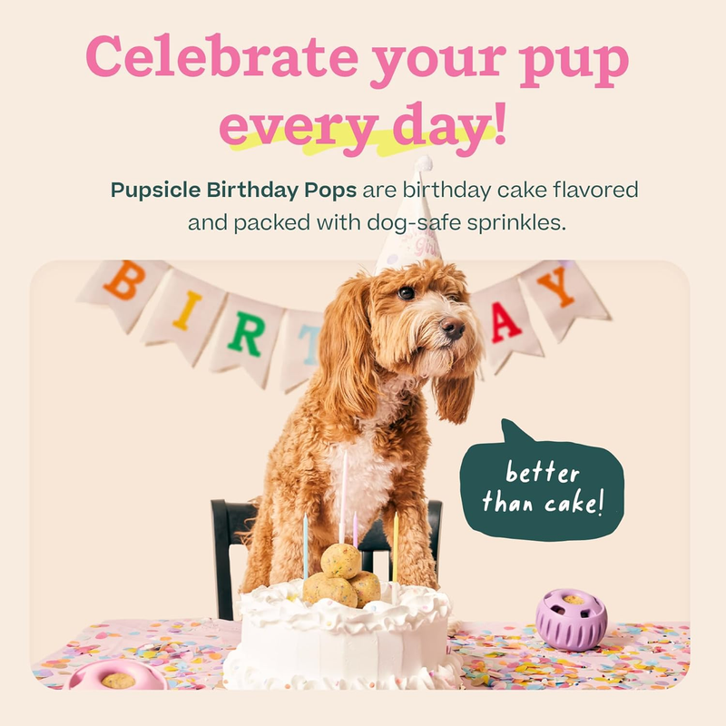 WOOF Pupsicle Birthday Pops - Healthy Dog Treats - Pre-Made Pupsicle Refills- Wholesome Ingredients - Naturally Sweet - Cake-Flavored Birthday Treat for Dogs - Large : Pet Supplies