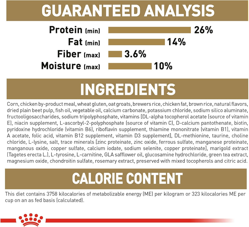 Royal Canin Chihuahua Adult Dry Dog Food, 10 lb bag : Pet Supplies