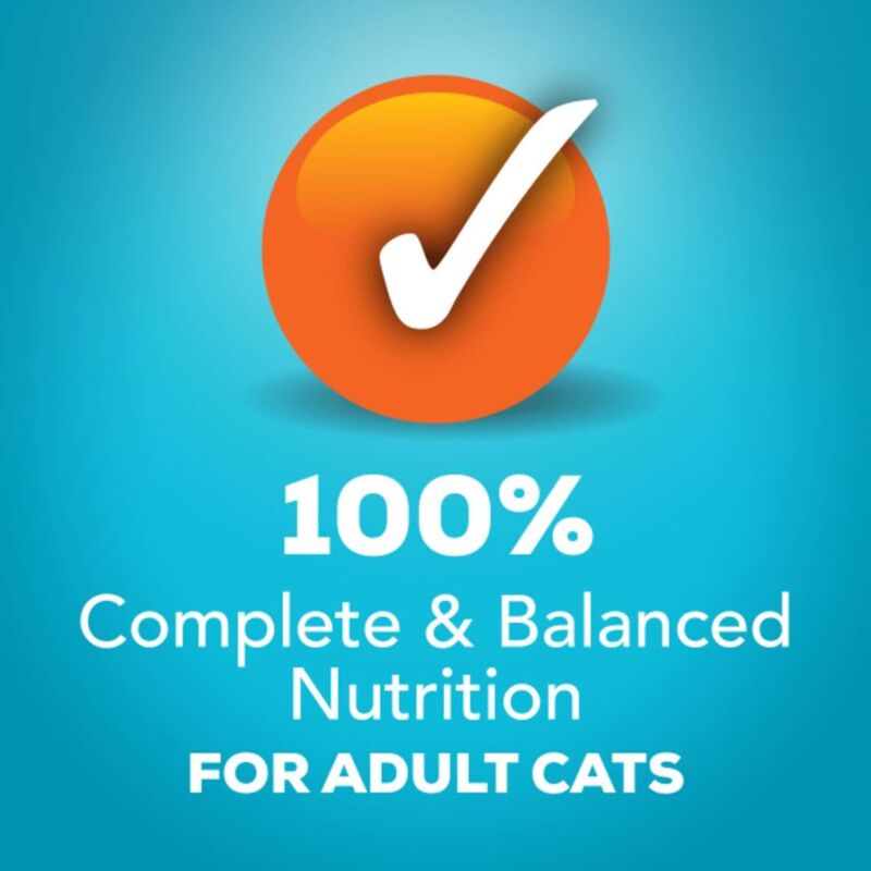 Purina Friskies Wet Cat Food Variety Pack Fish-A-Licious Extra Gravy, Prime Filets and Tasty Treasures - (Pack of 32) 5.5 oz. Cans : Pet Supplies