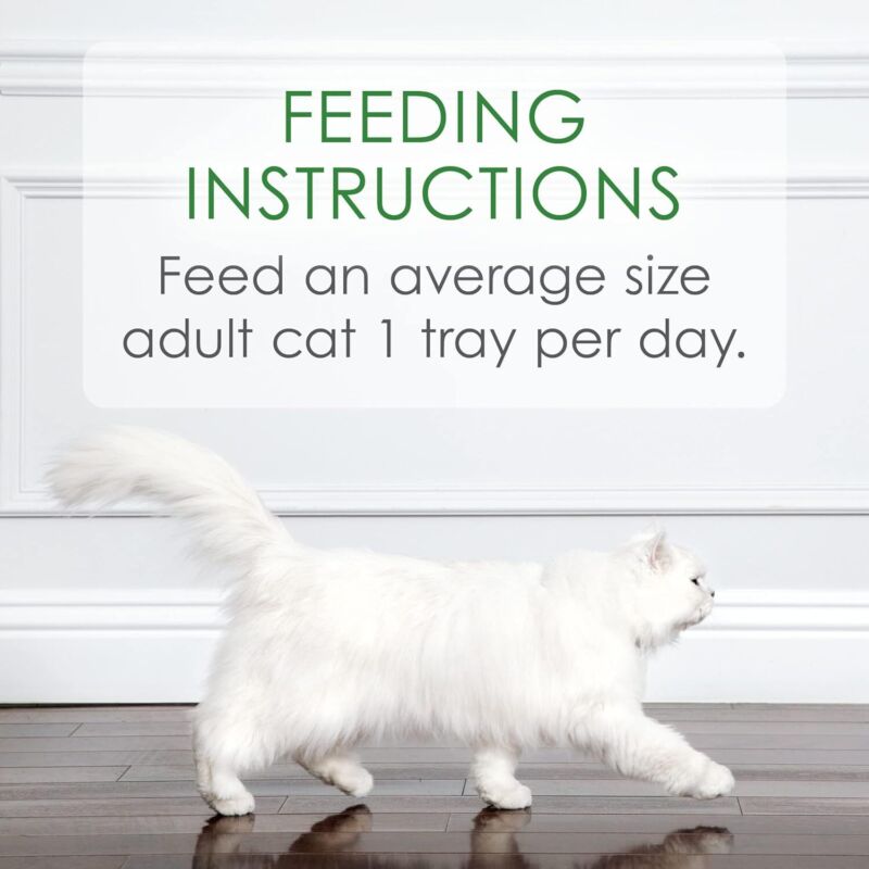 Purina Fancy Feast Appetizers Lickable Grain Free Wet Cat Food Topper White Meat Chicken and Flaked Tuna Appetizer - (Pack of 10) 1.1 oz. Trays