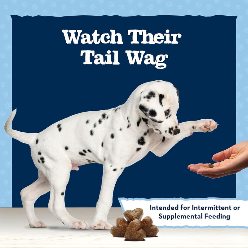 Blue Buffalo Baby BLUE Training Treats Natural Puppy Soft Dog Treats, Savory Chicken 4-oz Bag : Pet Supplies