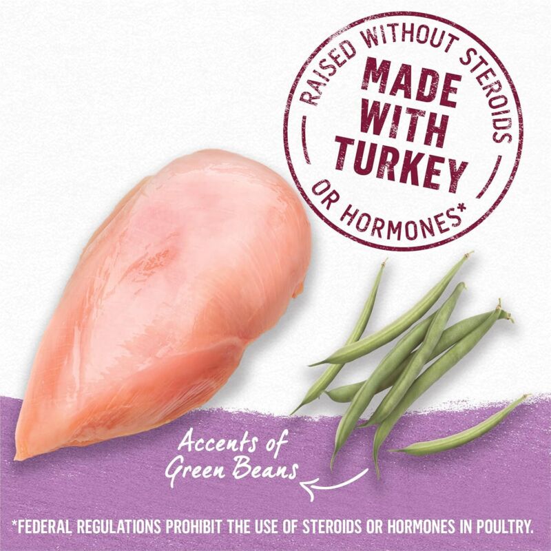Purina Beyond Turkey and Green Bean in Gravy Natural Grain Free Wet Dog Food with Added Vitamins and Minerals - (Pack of 12) 12.5 oz. Cans: Pet Supplies: Amazon.com