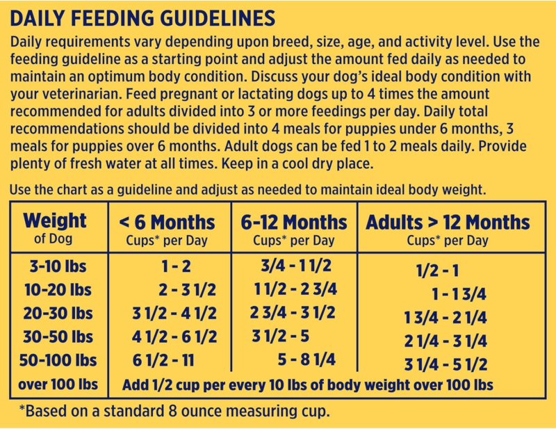 Nature’s Recipe Grain Free Salmon, Sweet Potato & Pumpkin Recipe Dry Dog Food, 24 lb. Bag : Pet Supplies