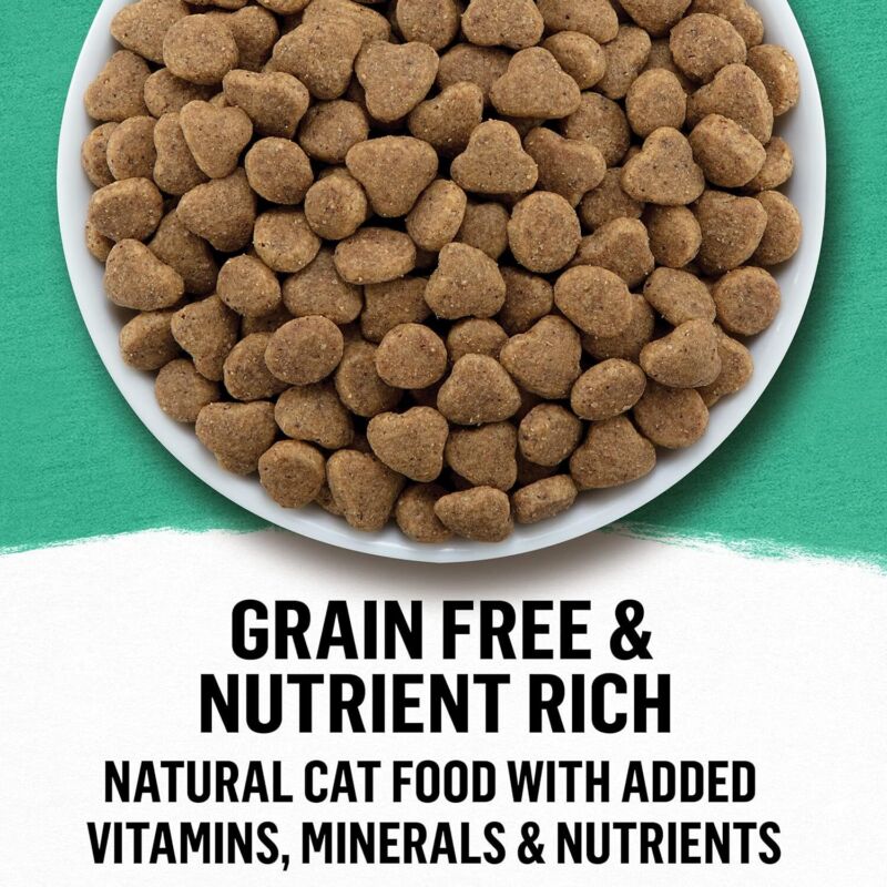 Purina Beyond Natural Grain Free Dry Cat Food Whitefish and Egg Recipe With Added Vitamins, Minerals and Nutrients - 11 lb. Bag : Pet Supplies