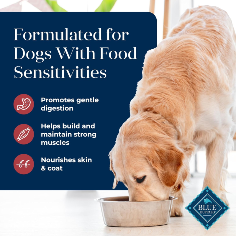 Blue Buffalo Wilderness Trail Toppers Wild Cuts Natural High-Protein Dog Wet Food, Chicken Bites in Hearty Gravy, 3-oz Pouch, 24 Count