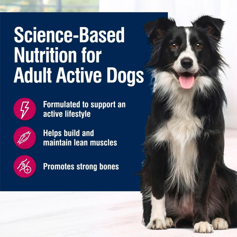 Blue Buffalo True Solutions Active Dog Wet Dog Food for Active Adult Dogs, Made with Natural Ingredients, Chicken, 12.5-oz. Cans (12 Count): Pet Supplies: Amazon.com