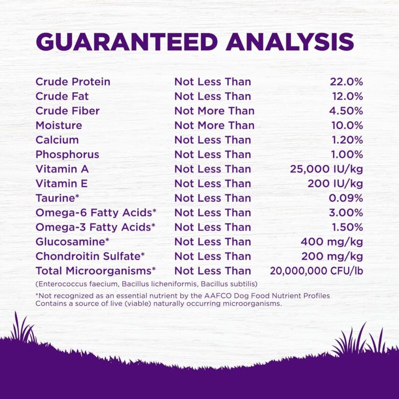 Wellness Complete Health Dry Dog Food, Wholesome Grains, Natural, Whitefish & Sweet Potato, (5-Pound Bag) : Pet Supplies