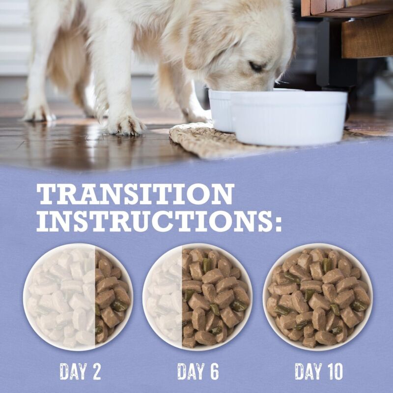 Purina Beyond Turkey and Green Bean in Gravy Natural Grain Free Wet Dog Food with Added Vitamins and Minerals - (Pack of 12) 12.5 oz. Cans: Pet Supplies: Amazon.com