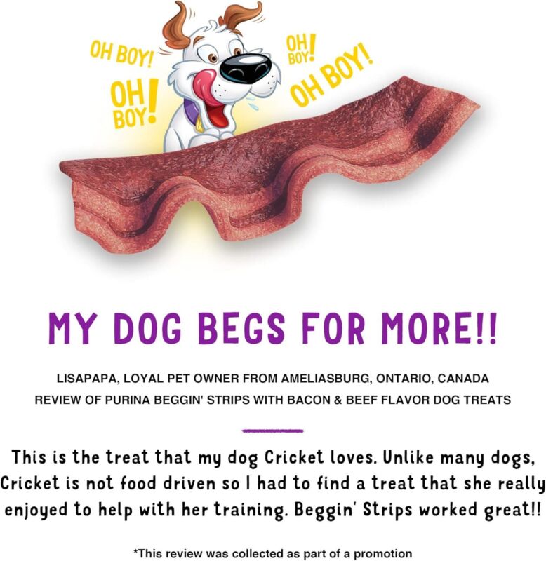 Purina Beggin' Strips With Real Meat Dog Treats With Bacon and Beef Flavors - (Pack of 2) 26 oz. Pouches : Pet Supplies