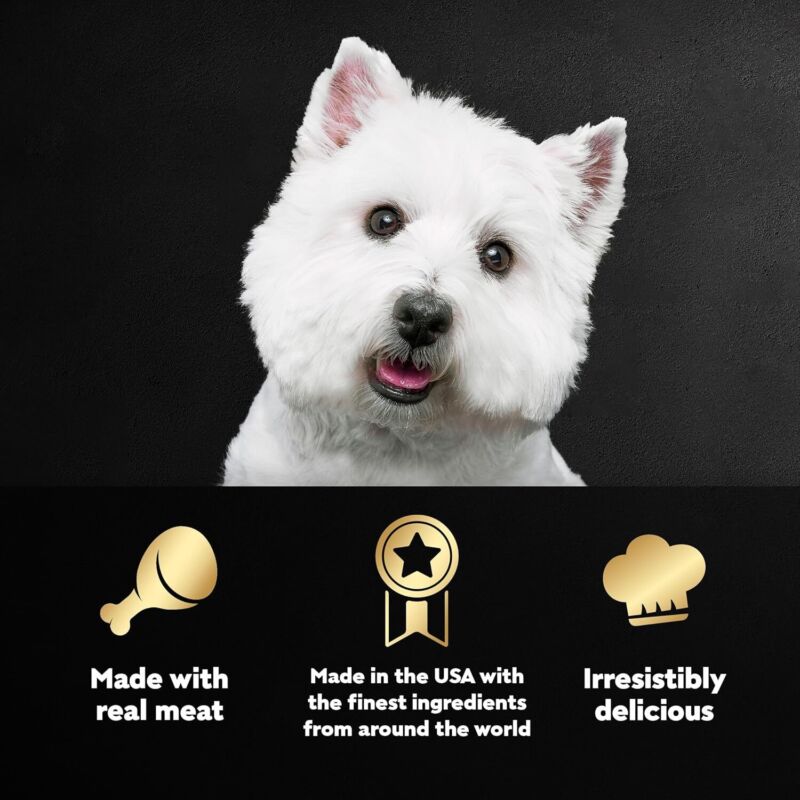 CESAR Adult Soft Wet Dog Food Steak Lovers Variety Pack with Real Meat, (24) 3.5 oz. Trays: Pet Supplies: Amazon.com