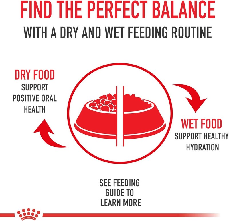 Royal Canin Poodle Adult Breed Specific Dry Dog Food, 10 lb bag: Dry Pet Food: Pet Supplies: Amazon.com