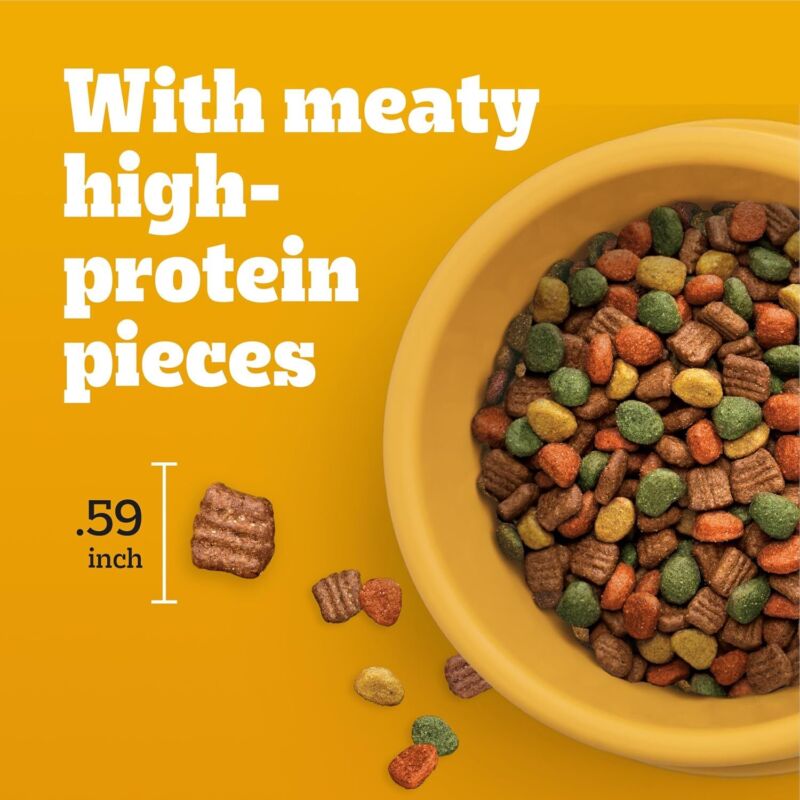 PEDIGREE High Protein Adult Dry Dog Food Chicken and Turkey Flavor Dog Kibble, 3.5 lb. Bag : Pet Supplies