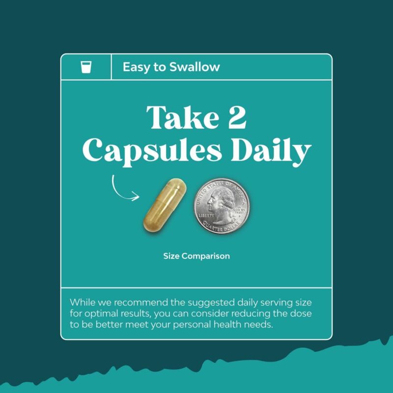 Liver Cleanse Detox & Repair 70 Capsules - Herbal Liver Support Milk Thistle Supplement - Silymarin Milk Thistle Supplements with Dandelion Root, Choline, Beetroot & Artichoke Extract : Health & Household