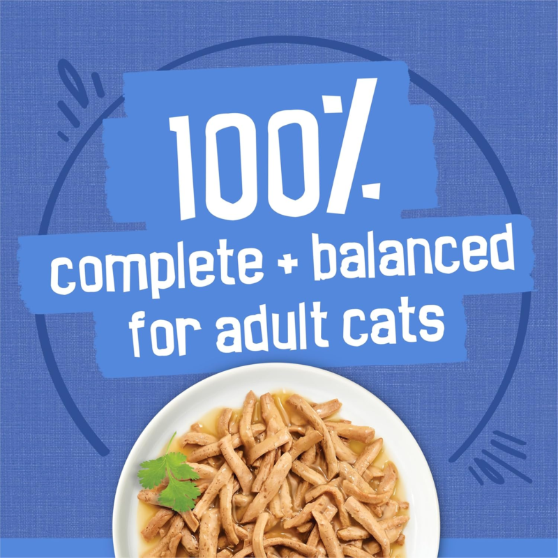 Purina Friskies Gravy Wet Cat Food Variety Pack, Shreds With Beef, With Chicken, and Turkey and Cheese Dinner - (Pack of 24) 5.5 oz. Cans : Canned Wet Pet Food : Pet Supplies