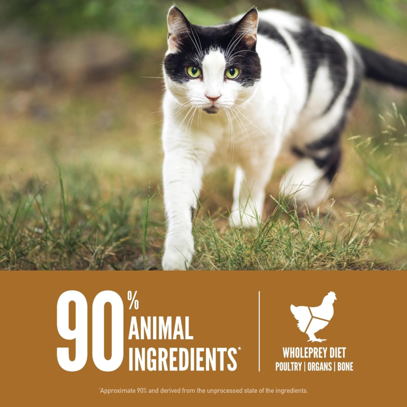 ORIJEN Original Cat, Grain Free Dry Cat Food for All Life Stages, with WholePrey Ingredients, 12lb : Everything Else