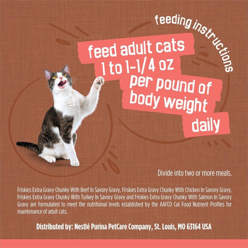 Purina Friskies Extra Gravy Wet Cat Food Chunky 24ct Variety Pack (With Chicken, Turkey, Salmon, Beef) - (Pack of 24) 5.5 oz. Cans : Pet Supplies