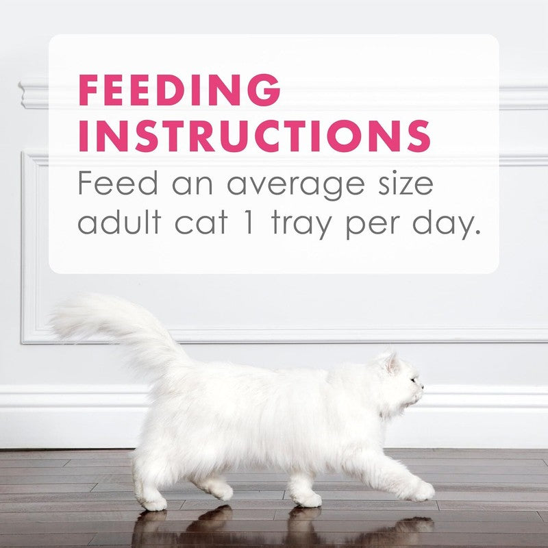 Purina Fancy Feast Appetizers Lickable Grain Free Wet Cat Food Topper Wild Alaskan Salmon Appetizer - (Pack of 10) 1.1 oz. Trays : Pet Supplies