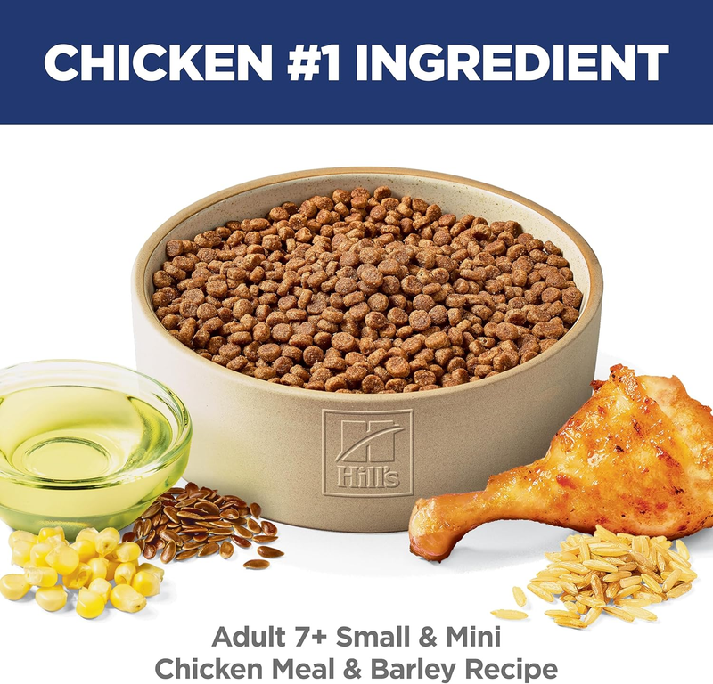 Nature’s Recipe Grain Free Salmon, Sweet Potato & Pumpkin Recipe Dry Dog Food, 24 lb. Bag : Pet Supplies