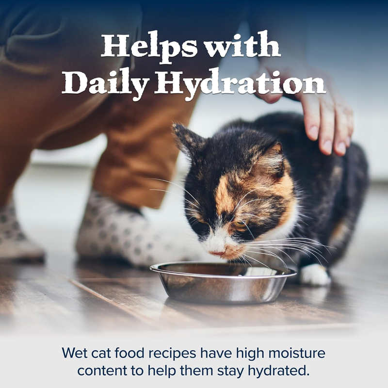 Blue Buffalo Life Protection Formula Small Breed Senior Dry Dog Food, Supports Joint Health and Immunity, Made with Natural Ingredients, Chicken & Brown Rice Recipe, 5-lb Bag : Pet Supplies
