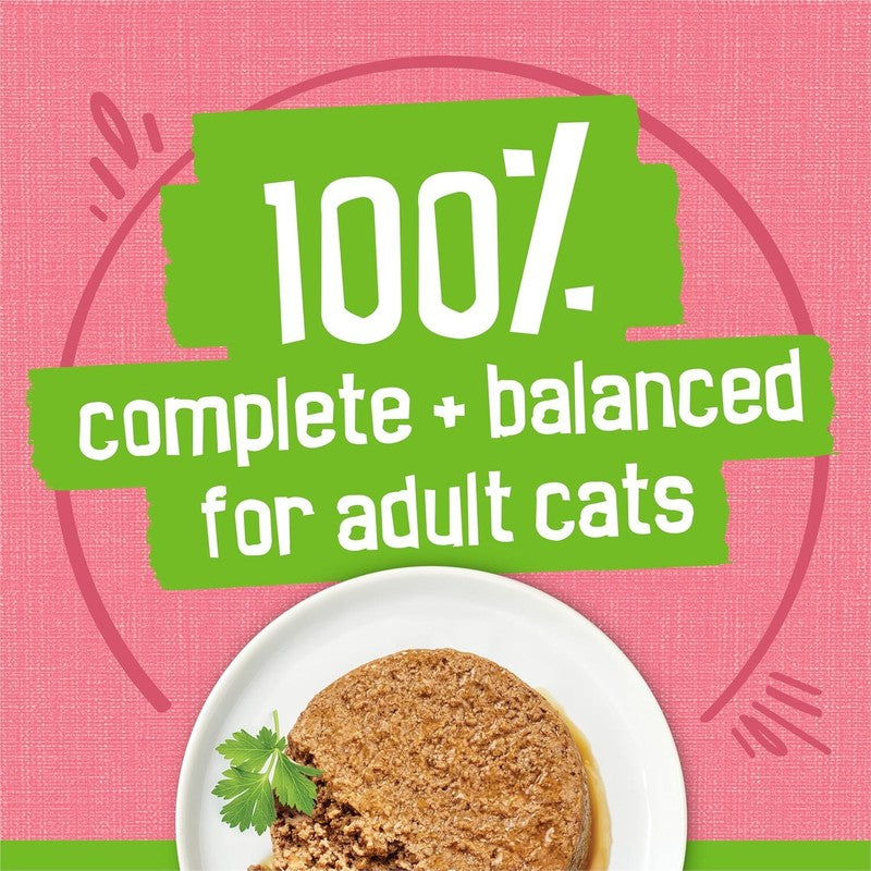 Purina Friskies Wet Cat Food Pate, Pate Salmon Dinner - (Pack of 24) 5.5 oz. Cans : Canned Wet Pet Food : Pet Supplies