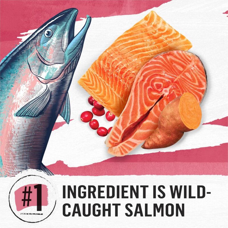 Purina Beyond Natural Grain Free Dry Cat Food Simply Indoor Salmon, Egg and Sweet Potato Recipe - 3 lb. Bag : Pet Supplies