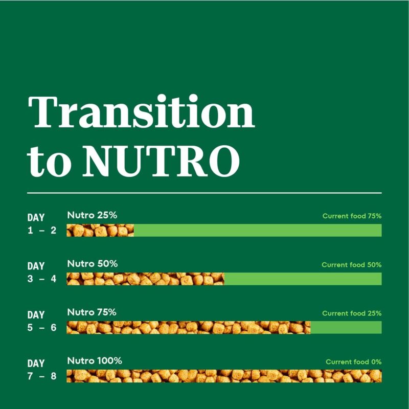 Nutro Natural Choice Adult Small Breed Dry Dog Food, Chicken and Brown Rice, 5 lbs. : Pet Supplies