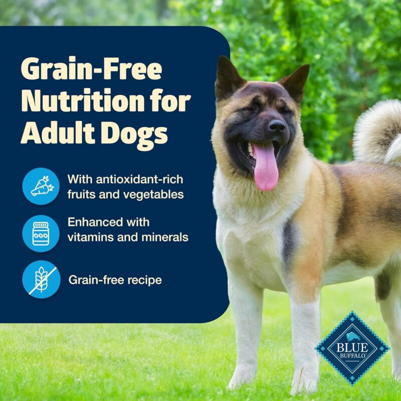 Blue Buffalo Freedom Grain-Free Wet Dog Food, Free of Glutens & Artificial Preservatives, Made with Natural Ingredients, Chicken Recipe, 12.5-oz. Cans (12 Count)