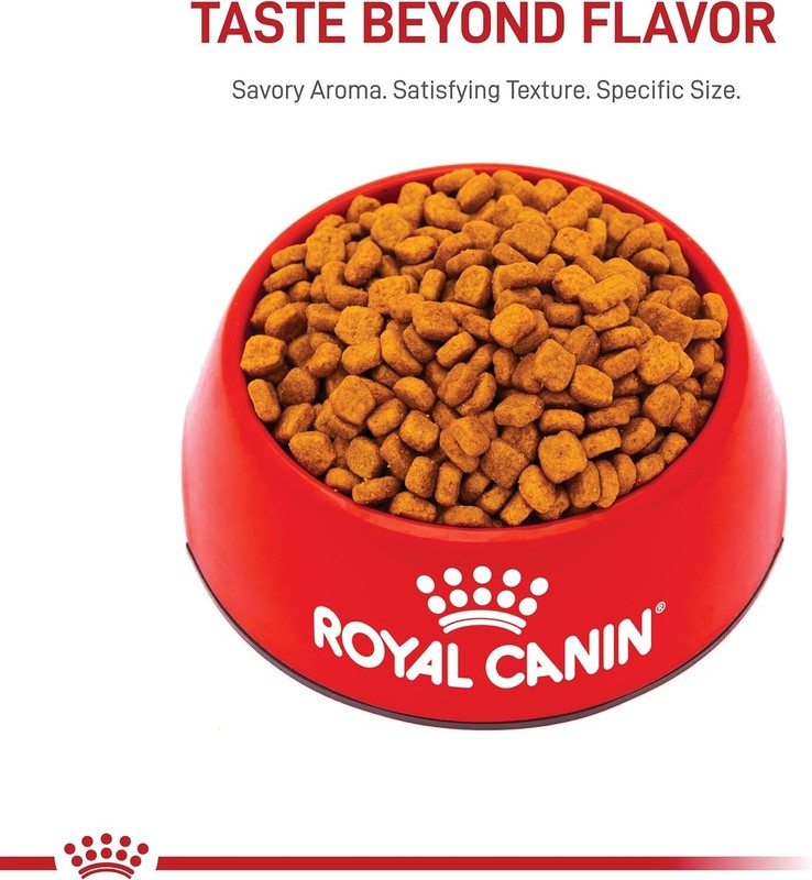 Royal Canin Poodle Adult Breed Specific Dry Dog Food, 10 lb bag: Dry Pet Food: Pet Supplies: Amazon.com