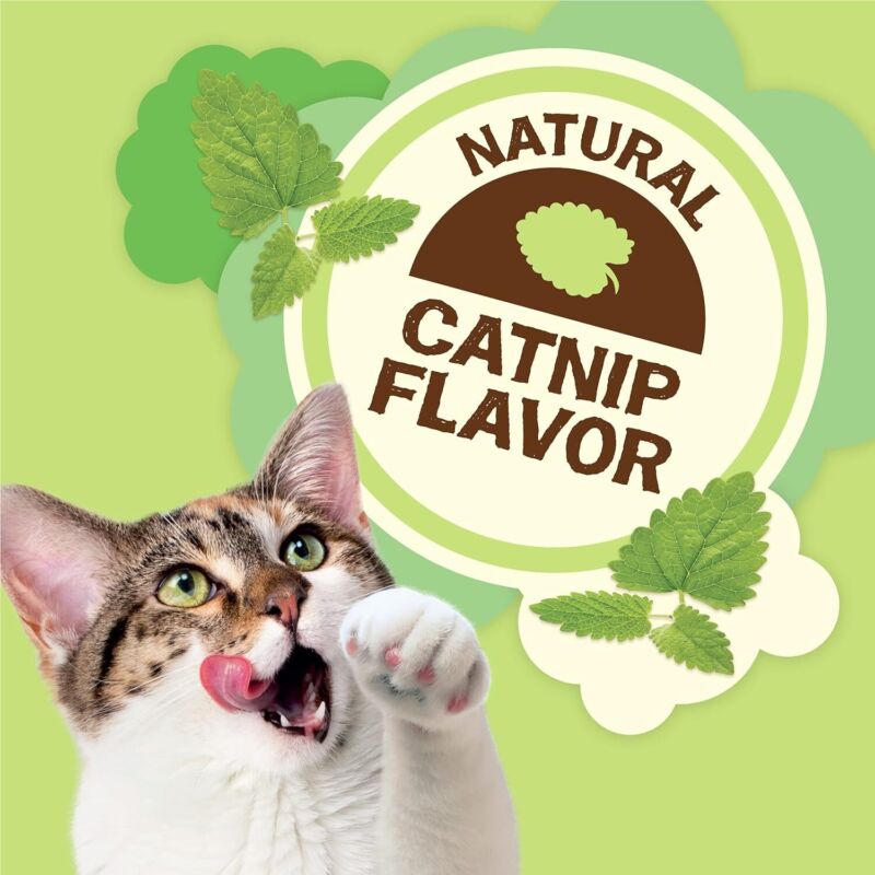 Purina Friskies Made in USA Facilities, Natural Cat Treats, Party Mix Natural Yums Catnip Flavor - (Pack of 10) 2.1 oz. Pouches : Pet Supplies