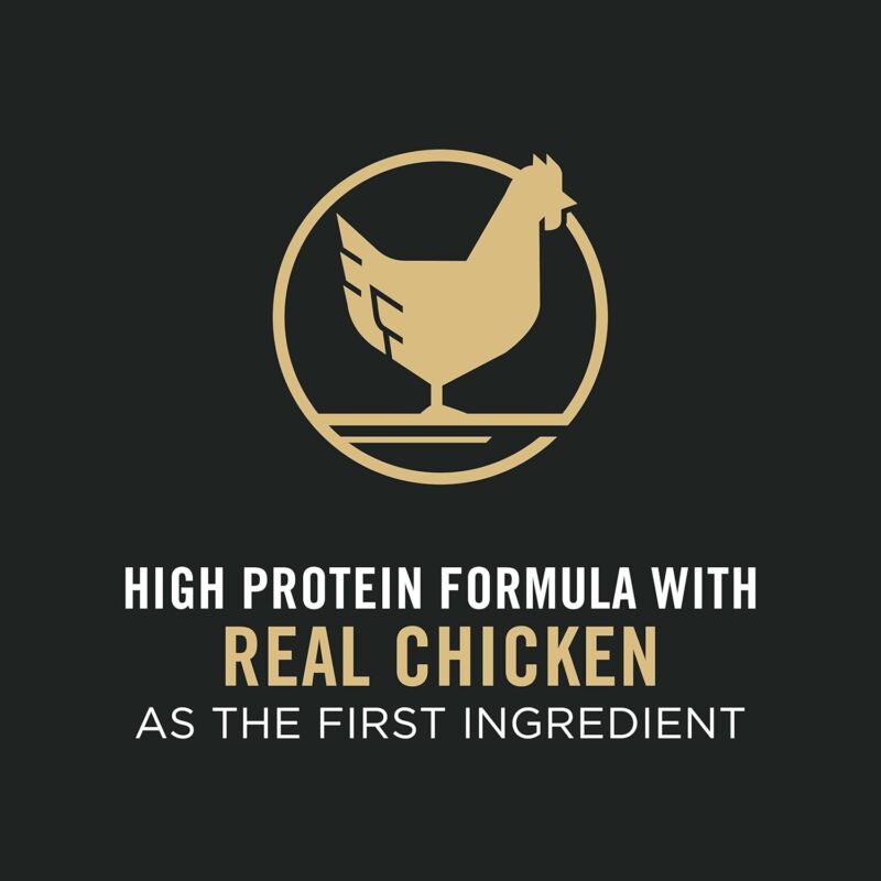 Purina Pro Plan High Protein Small Breed Dog Food, Chicken & Rice Formula - 6 lb. Bag : Dry Pet Food : Pet Supplies
