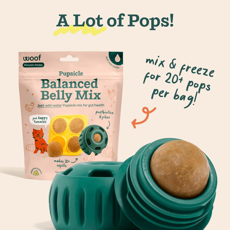 WOOF Dog Pupsicle Mix - Easy-to-Make DIY Pupsicle Refills - Tasty, Healthy Pupsicle Mix - Wholesome Ingredients - Long-Lasting Treats for Dogs - Balanced Belly Mix : Pet Supplies