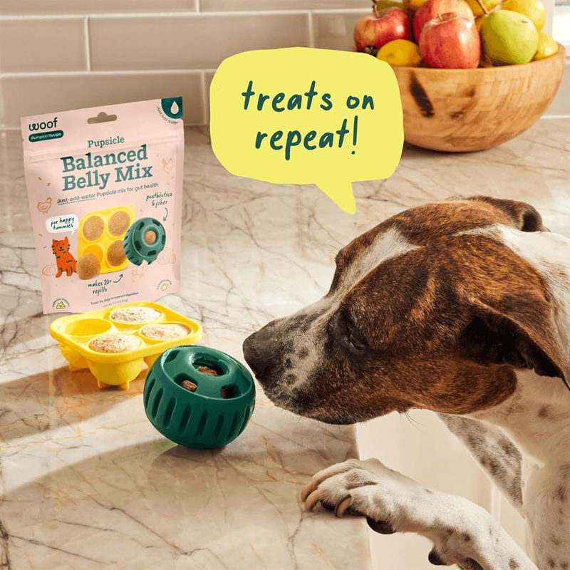 WOOF Dog Pupsicle Mix - Easy-to-Make DIY Pupsicle Refills - Tasty, Healthy Pupsicle Mix - Wholesome Ingredients - Long-Lasting Treats for Dogs - Balanced Belly Mix : Pet Supplies