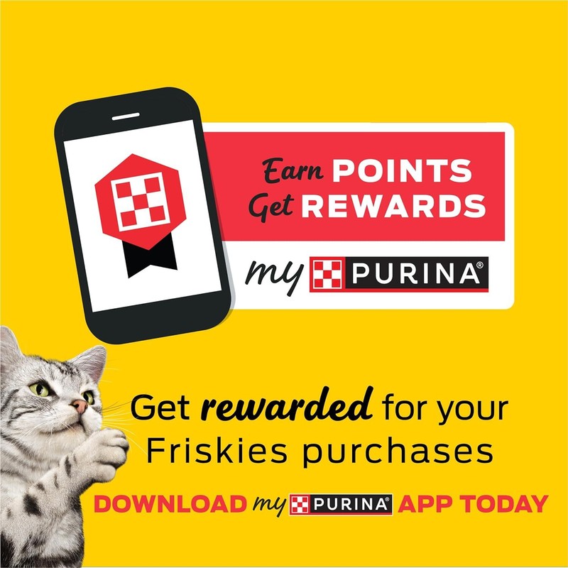 Purina Friskies Wet Cat Food Pate, Pate Salmon Dinner - (Pack of 24) 5.5 oz. Cans : Canned Wet Pet Food : Pet Supplies
