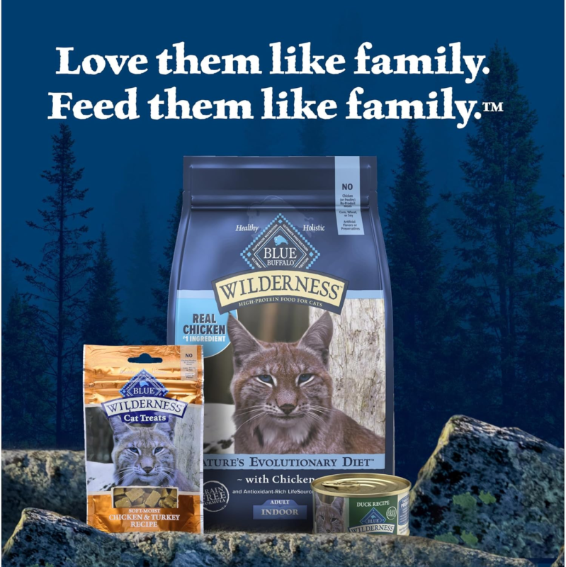 Blue Buffalo Wilderness Natural High-Protein Grain-Free Wet Food for Adult Cats, Salmon Paté, 3-oz. Cans, 24 Count